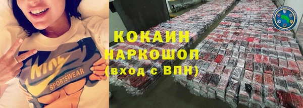 шишки Верхний Тагил