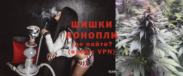 шишки Верхний Тагил