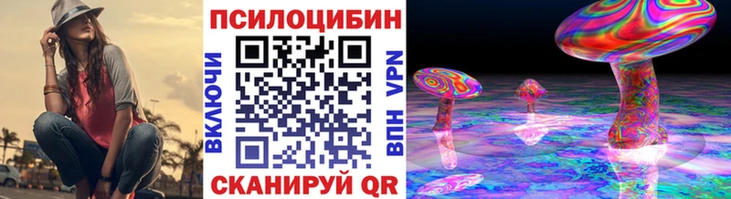 Галлюциногенные грибы Psilocybine cubensis  Петропавловск-Камчатский 