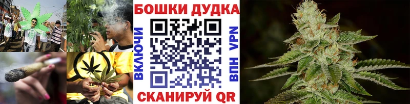 Бошки Шишки Bruce Banner мега ссылка Петропавловск-Камчатский